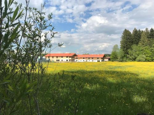 Ferienwohnung Wiesenglück nahe Tegernsee & Alpen