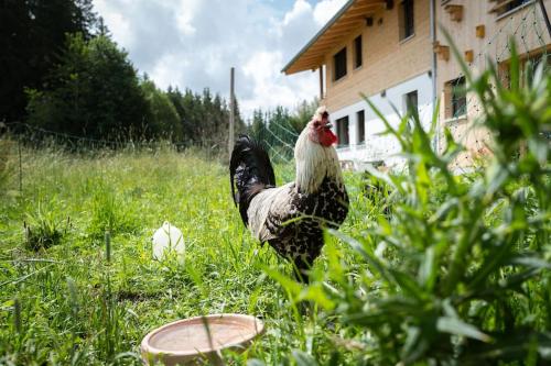 Ferienwohnung Wiesenglück nahe Tegernsee & Alpen