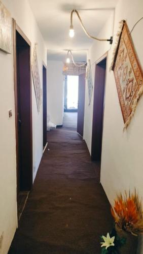 Dana Village Lodge in 達納