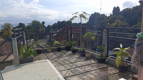 Puri Pilihani Hostel in Munduk