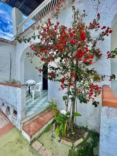 B&B Giardini di Iside e Osiride