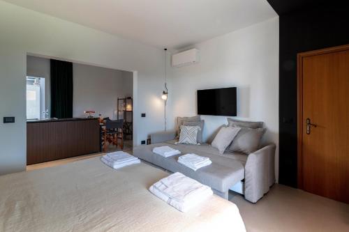 1 king bed, 1 sofa bed
