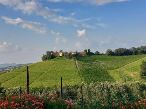 Tenuta Montanello B&B - Accommodation - Castiglione Falletto