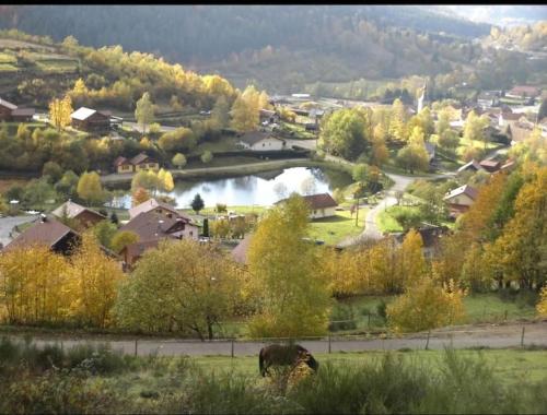 Gîte les bouleaux 14 personnes Ventron