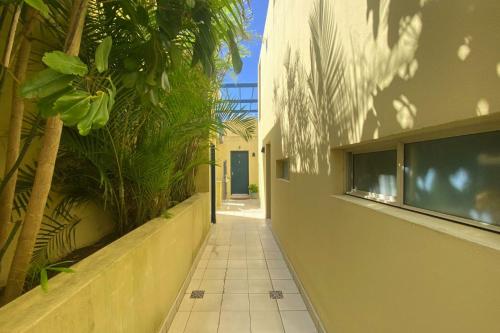 Ocean view Clovelly - image 5