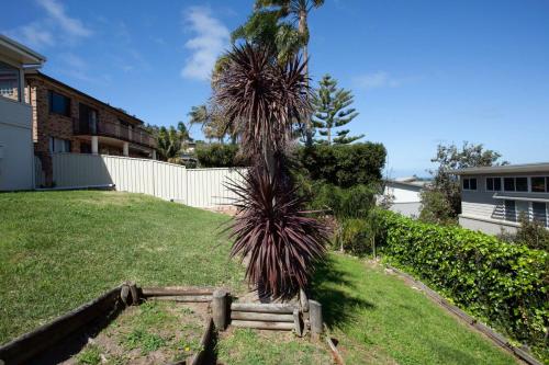 Palm Springs in Collaroy