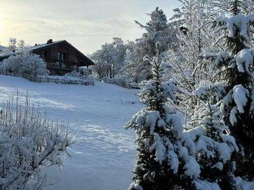 Appartement suite L'ours Blanc Megève Megève