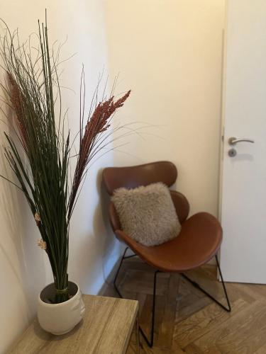 Apartment Skorepka 4 - image 5