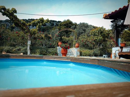 Rose hedge in Tilisos