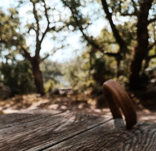 Rose hedge in Tilisos