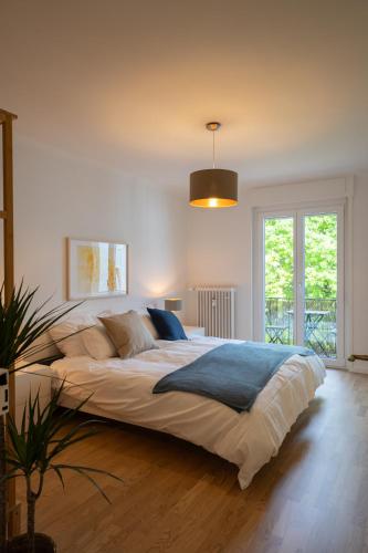 Jungstay Apartments- near Basel