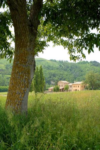 Agriturismo Verziere