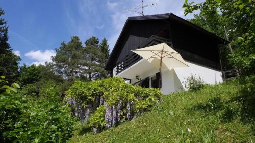 Ferienhaus in ruhiger Lage auf einem großen Grundstück, ideal für Naturliebhaber und Ruhesuchende