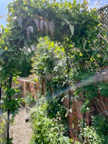 Idyllic cosy cottage close to Oxford and Le Manoir