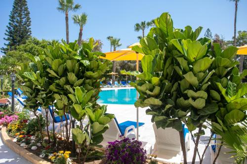 Papouis Protaras Hotel Papouis Protaras Hotel