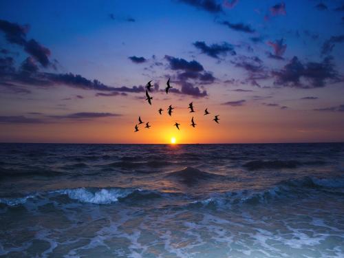 Casa Del Mar G-608 2 Bedrooms Heated Pool Sleeps 4 - image 12