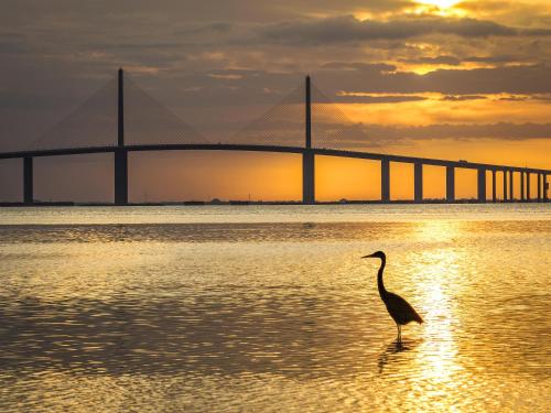 Casa Del Mar G-608 2 Bedrooms Heated Pool Sleeps 4 - image 10