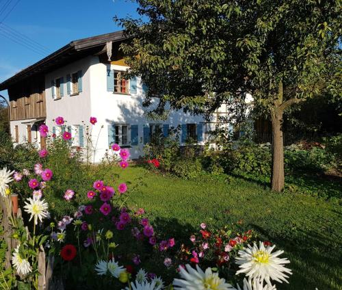 . Ferienwohnung Hofen 5