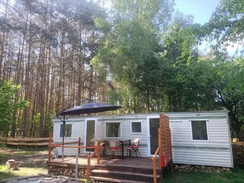 Tinyhaus idyllisch am Waldesrand in Cottbus, Deutschland
