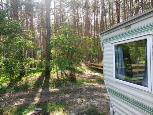 Tinyhaus idyllisch am Waldesrand