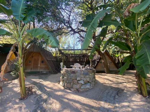 منظر, The Riverdeck Accommodation and Backpackers in جوكاما