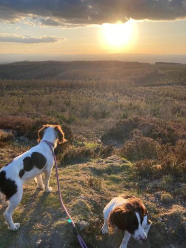 Valley View Farm Holiday Cottages