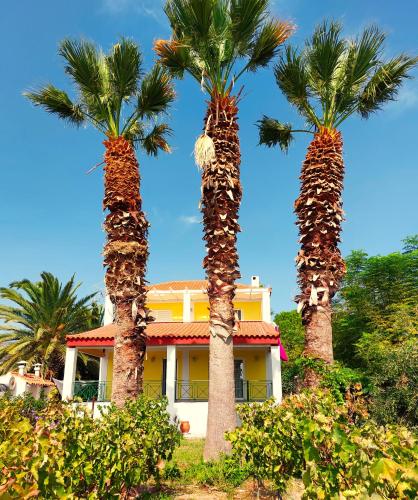 The Three Palms Samos Seaside Villa