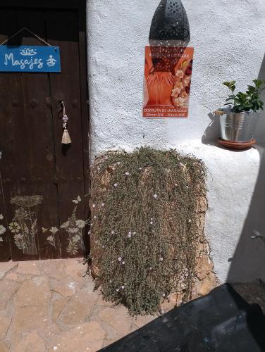 Hotel Rural Cortijo La Alberca