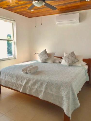 VeLento Partial Ocean View #8, Caye Caulker (fotografie 10)
