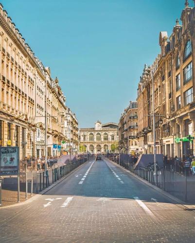 Appartement Cosy sur la Prestigieuse rue Faidherbe, à deux pas de la gare Lille Flandre - Location saisonnière - Lille