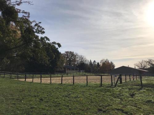 Gîte Belforêt-en-Perche, 3 pièces, 4 personnes - FR-1-497-200