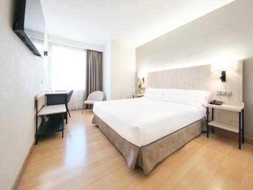 Hotel Albret Room Type - Double Room with 1 Double Bed