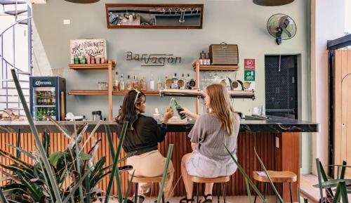 Bar/lounge, Hostik Hostal in Merida