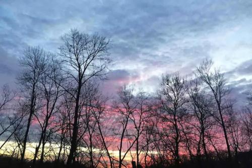 2 Bed 1 Bath Quiet Cabin Outskirts of Davenport in Davenport, USA