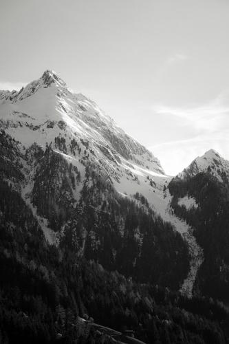 Brückenhof - image 8