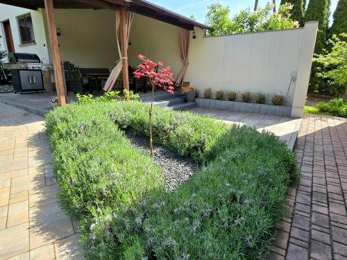 Apartament Lawenda in Stary Sącz