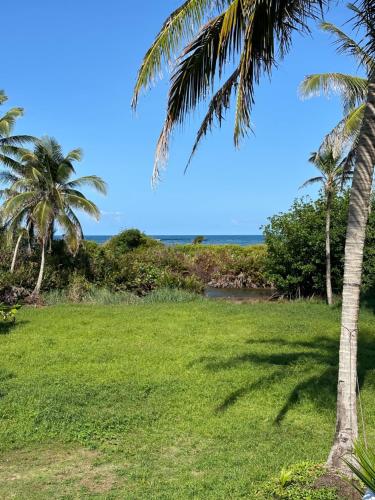 Bližnja okolica, Silversands Retreat S.A in Corn Island