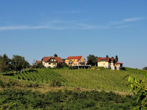 Weinhof Reichmann - Accommodation - Sankt Peter am Ottersbach