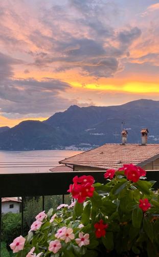  Le allodole in Bellano
