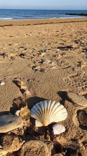 JUNO Appart, Courseulles-sur-Mer (foto 7)