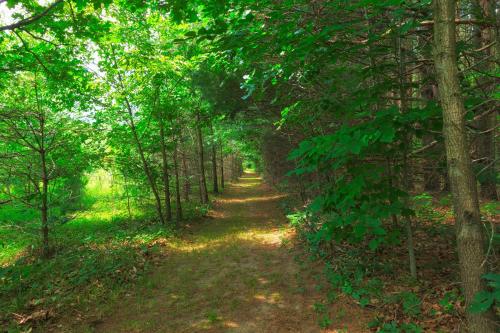 Ancient Oak Sanctuary Rural getaway, walking paths in Grand Junction, USA