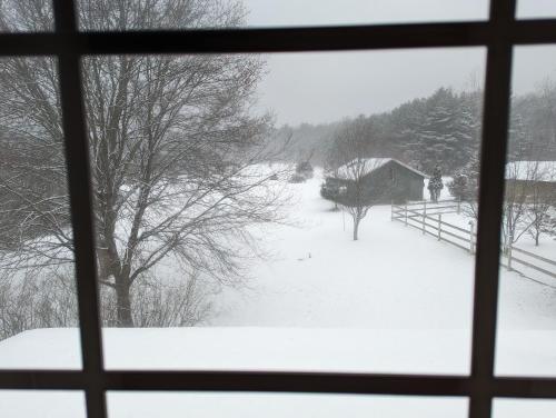 Ancient Oak Sanctuary Rural getaway, walking paths