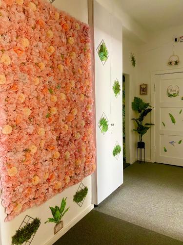 Instalações, Jungle Rooms in Suchanino