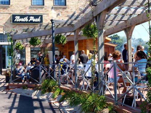 Large Apt Downtown AC Beach Shops Walk in Traverse City, USA