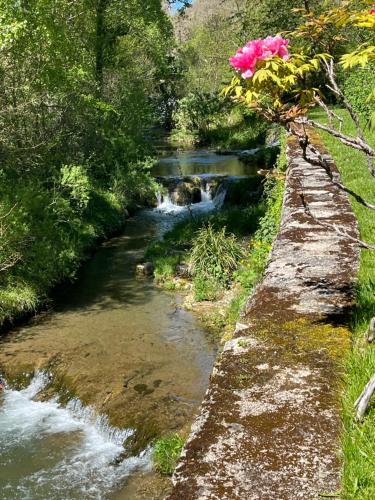 Le Cocon Fluvial - Location saisonnière - Fondamente