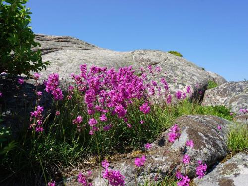 Holiday home STRÖMSTAD III