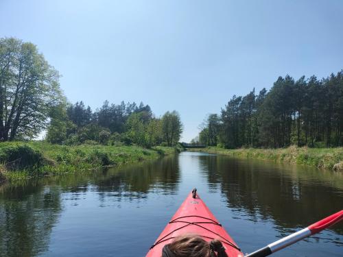 Leśna Chata kuracyjna z sauną w Borach Tucholskich