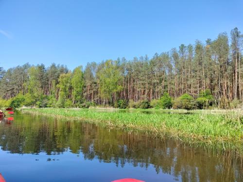 Leśna Chata kuracyjna z sauną w Borach Tucholskich