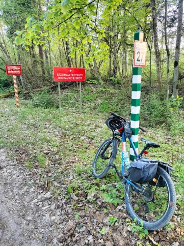 Leśna Chata kuracyjna z sauną w Borach Tucholskich