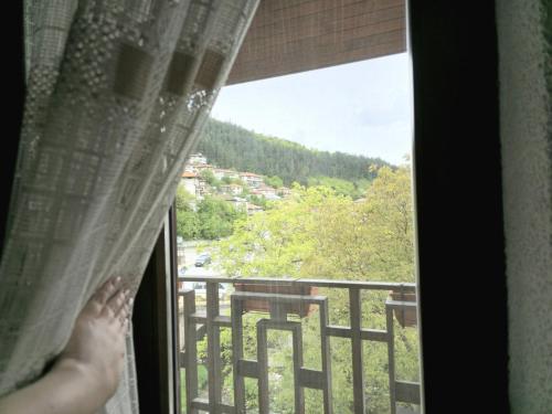 Къща за гости Чаршията, Smoljan (fotografie 6)